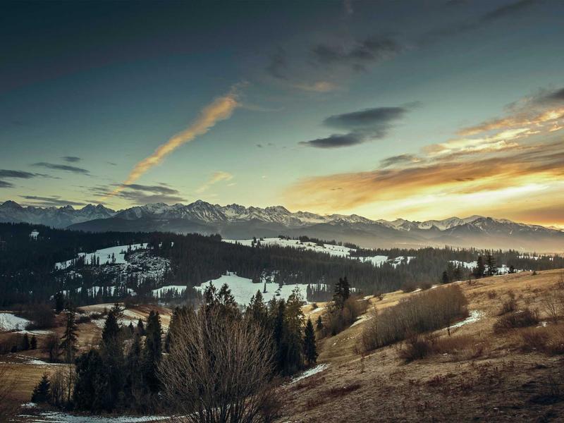 Cozy Studio in Deep Ellum