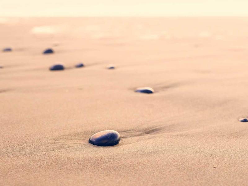 Cozy Studio in Deep Ellum - Photo 3