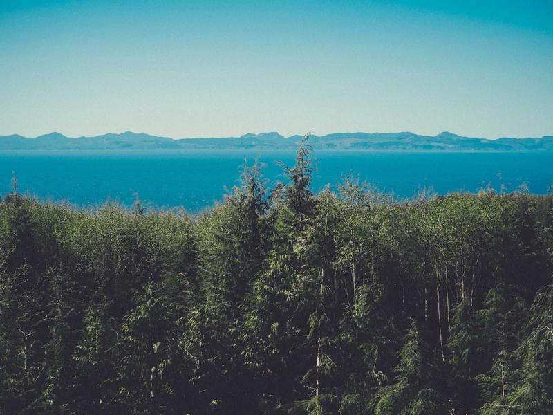 Luxury 1BR in Victory Park - Photo 3